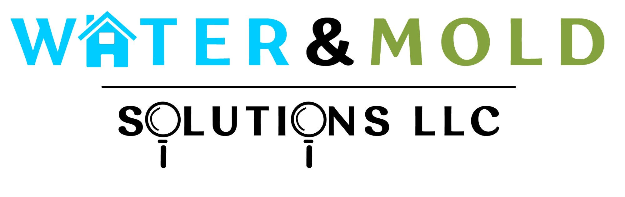 Water & Mold Solutions LLC